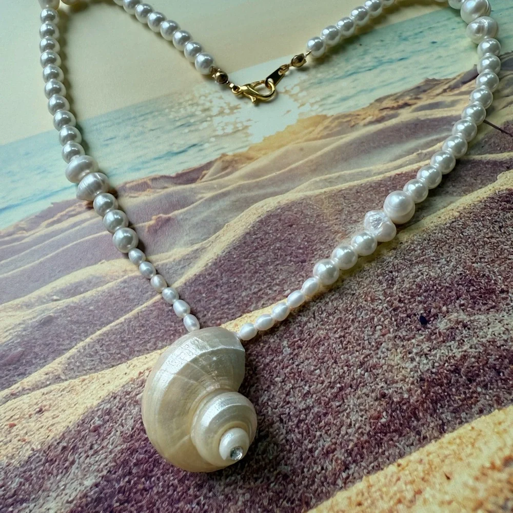 Seashell Necklace - Picture 3 of 3